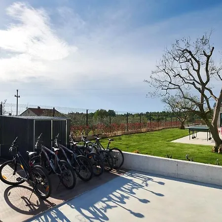 Villa Ansi Visnjan